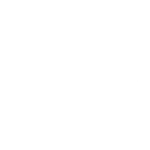 Клиент 29