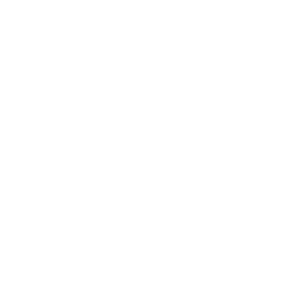 Клиент 31
