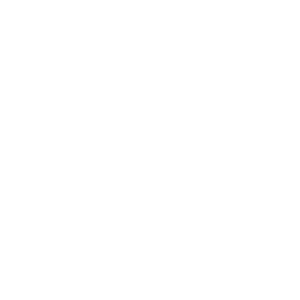 Клиент 41